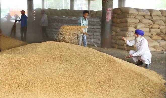 Rice Suppliers In Bangalore