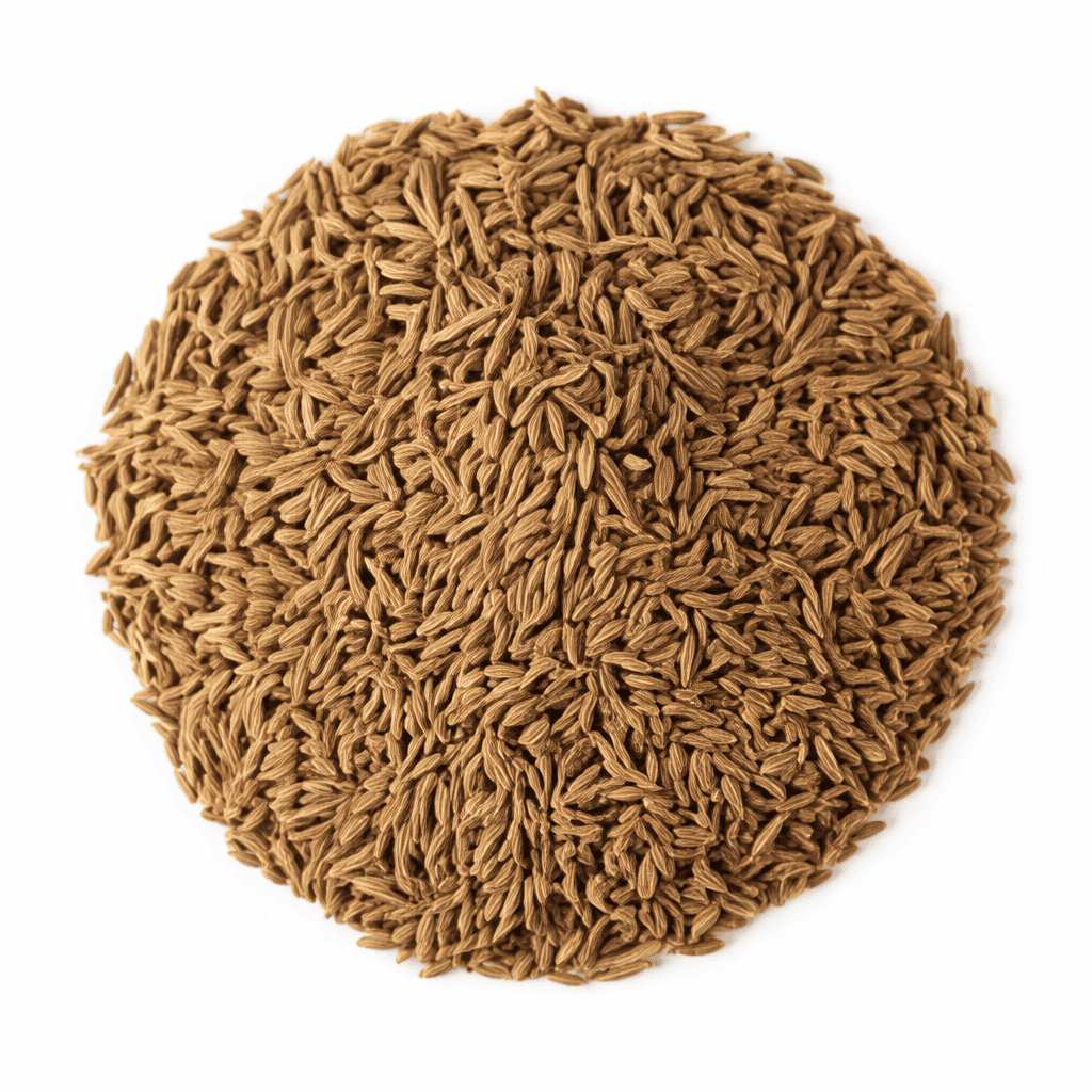 Cumin Seeds Suppliers