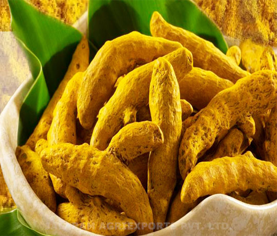 Turmeric powder Suppliers in Thane