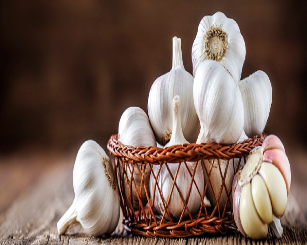 Fresh garlic