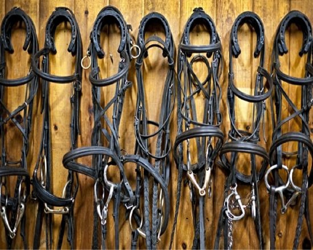 Leather Bridle