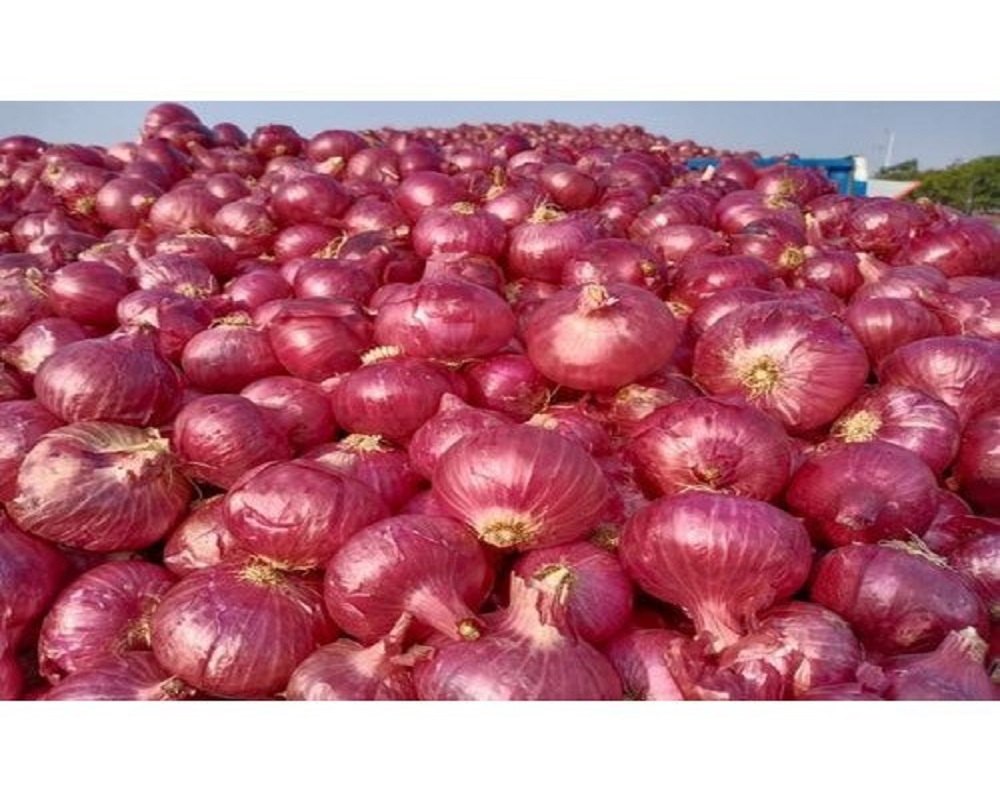 Fresh onion