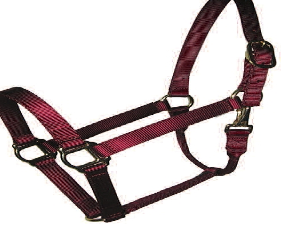 Halters