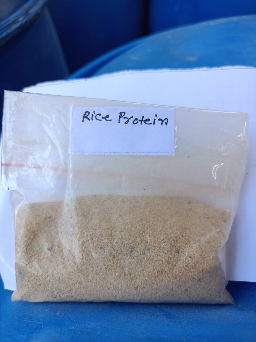 rice protein