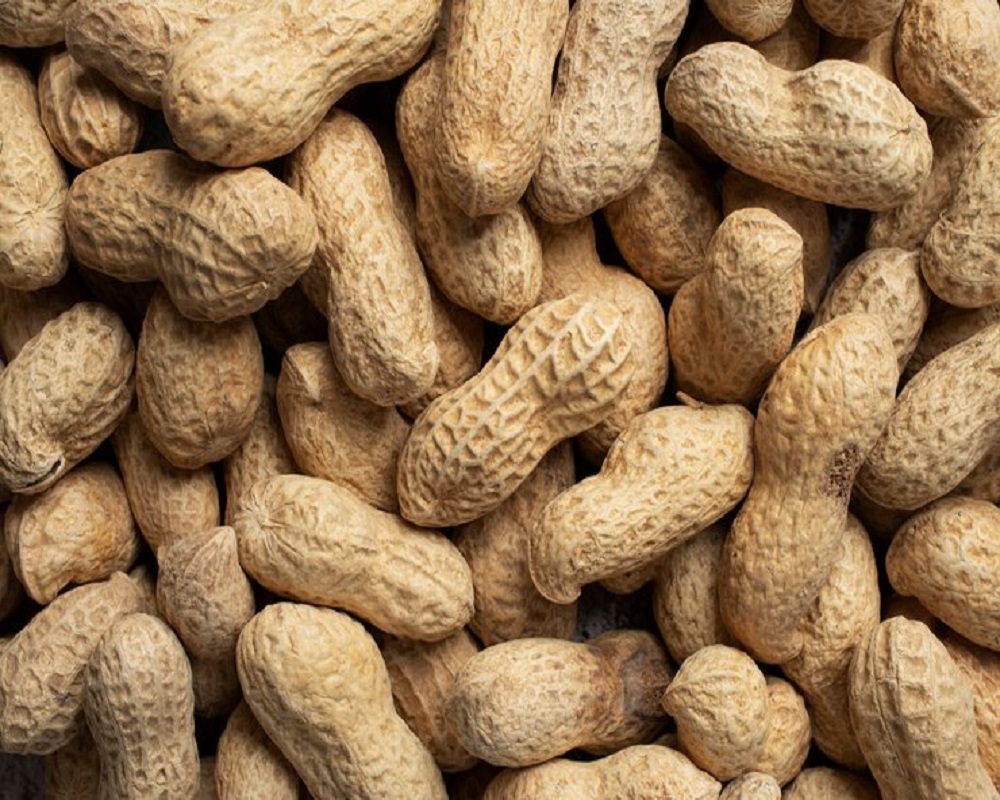 Peanut