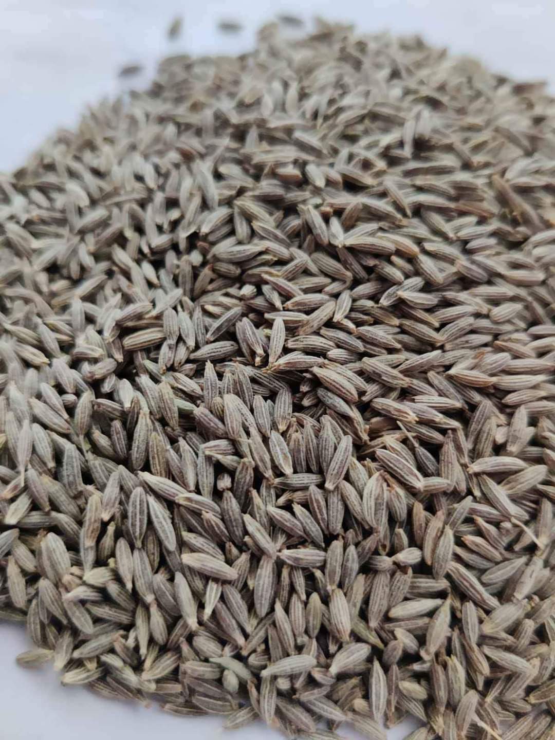 Cumin seeds