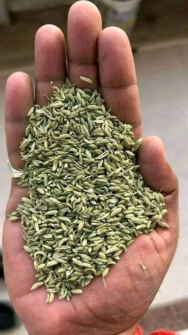 Fennel seeds