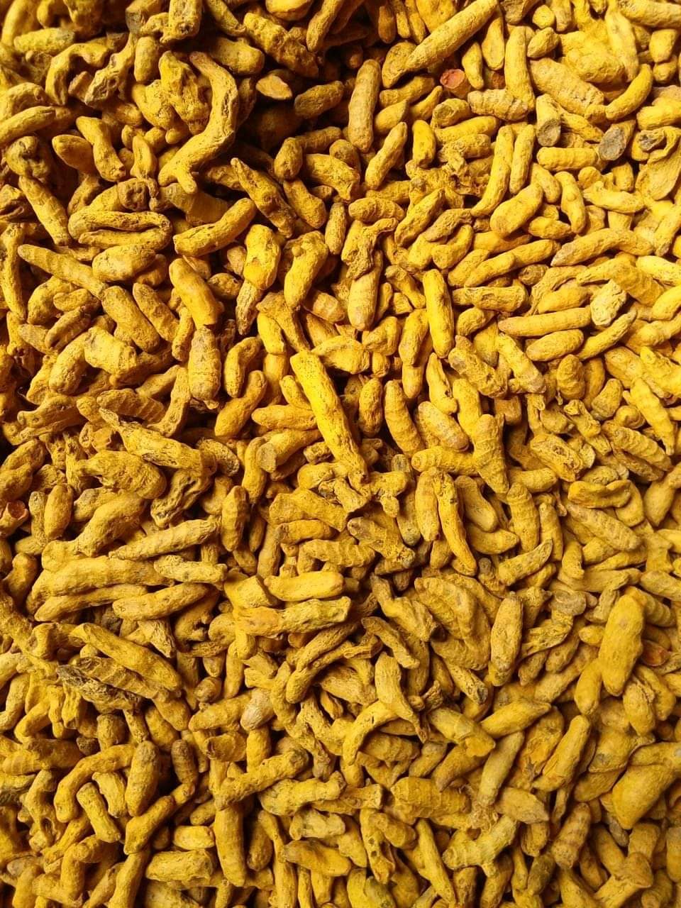 Turmeric figure