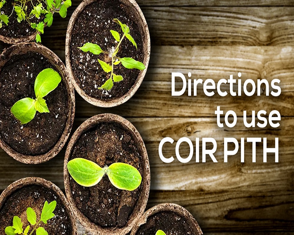 Welcome to our company