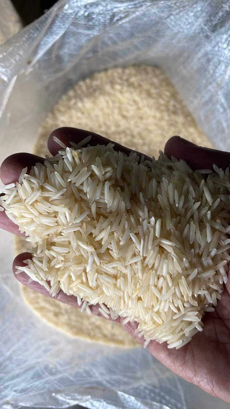 BASMATHI RICE   1121  (GOLDEN SELLA) 