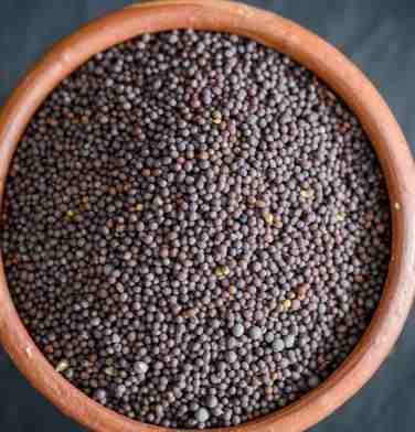Mustard seeds