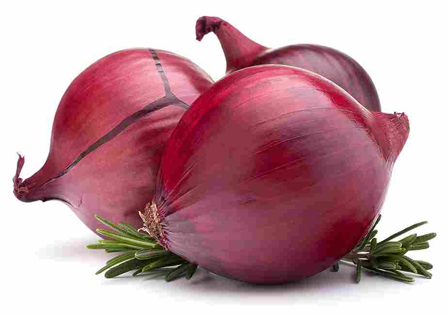 Onion 