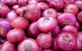 Onion 