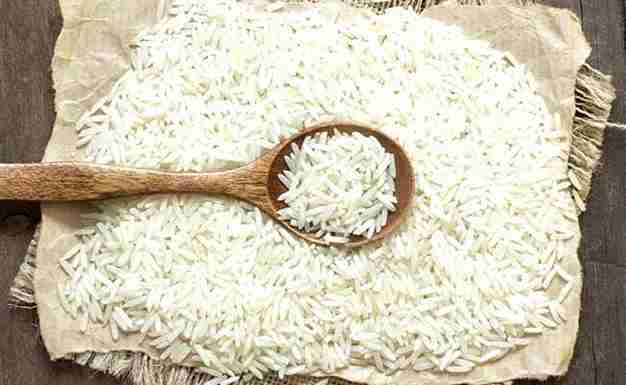 Rice