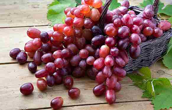 Fresh red grapes