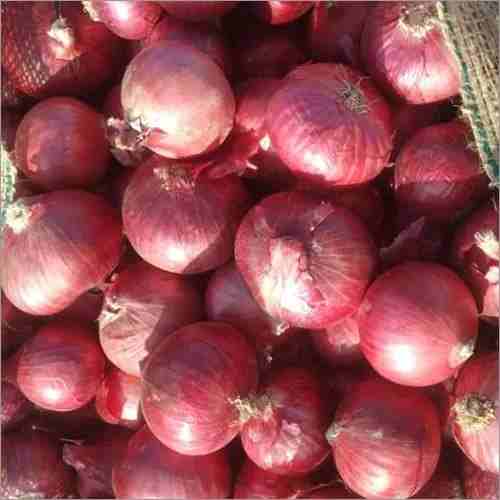 Agrifound Light Red Onion
