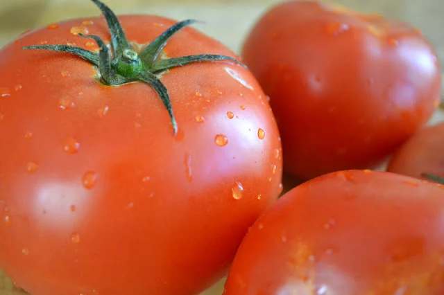 Fresh Tomato