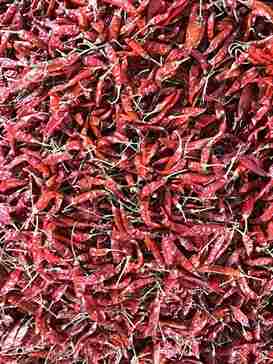 Teja dry red chilli