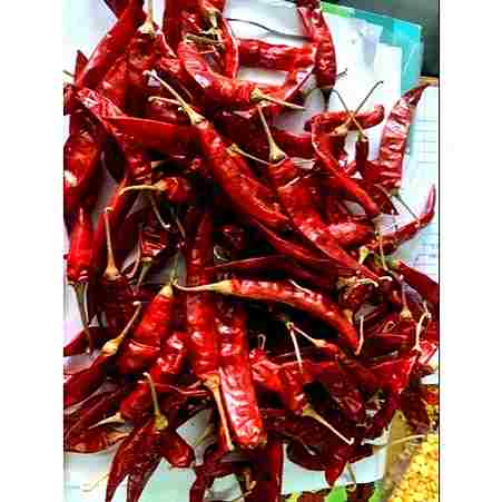 Dry red chilli 