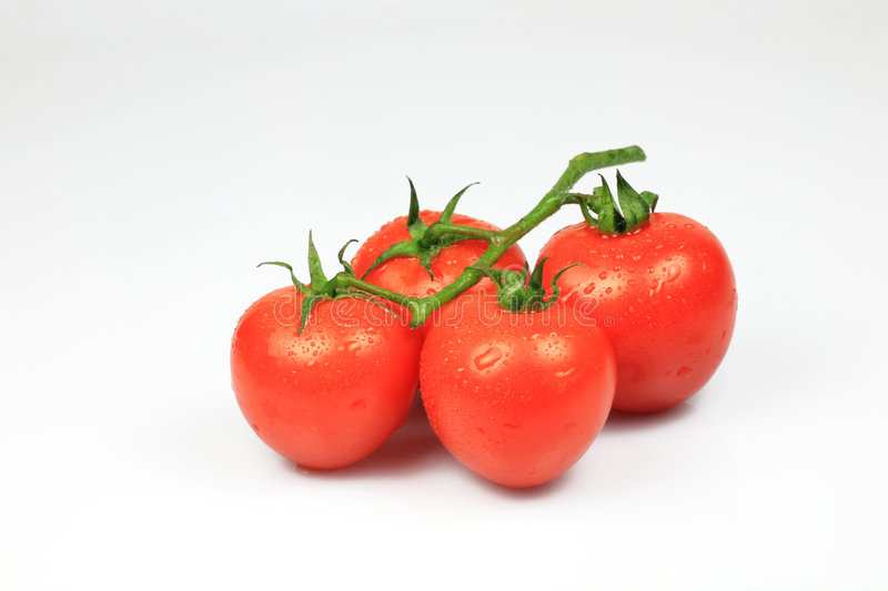 Tomato