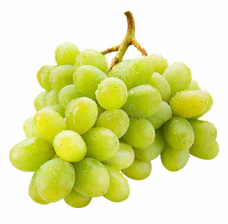 Fresh grapes