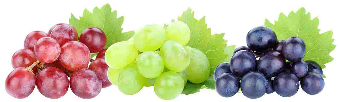 Grapes