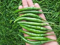 Green chilli