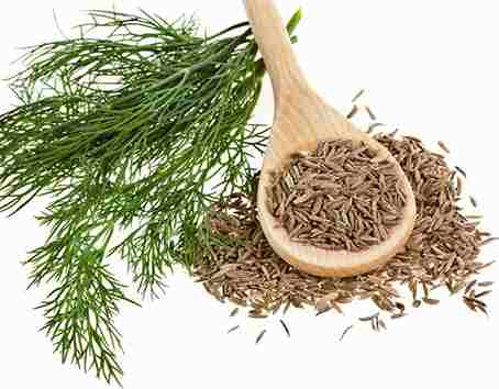 Cumin seed