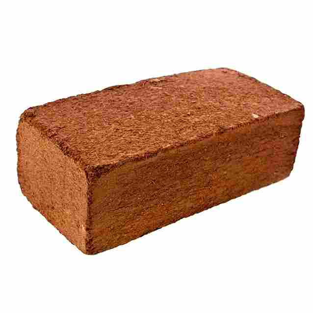 Coco Brick