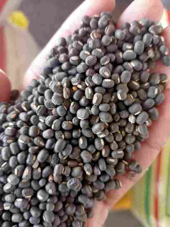 Black Urad Dal 
