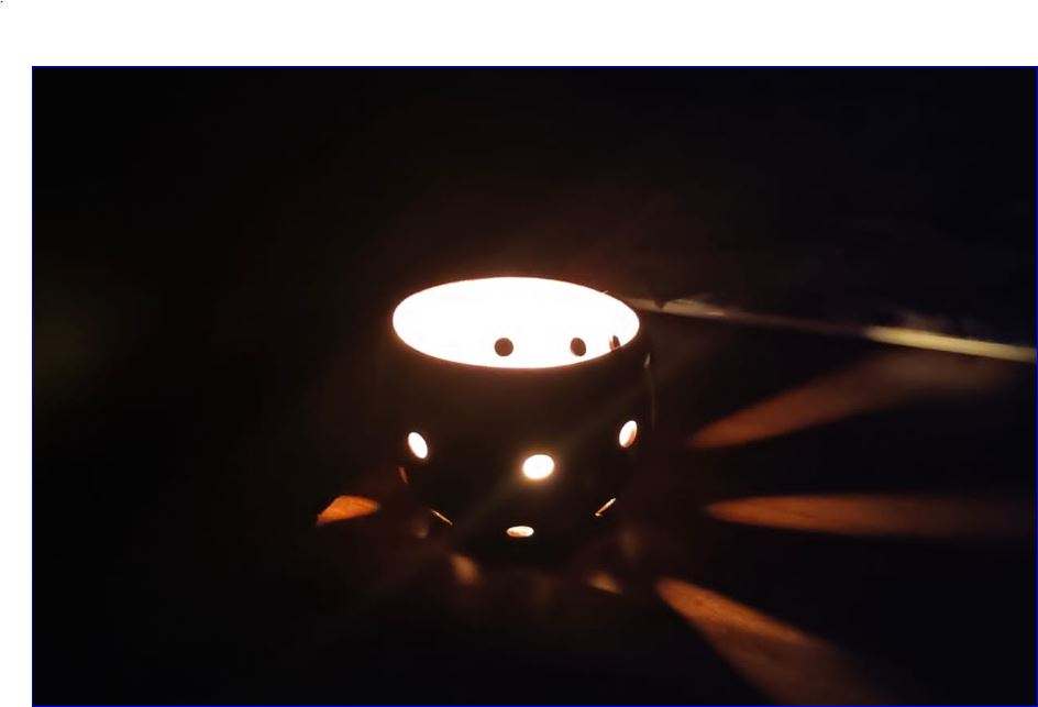 Coconut Decorative Shell