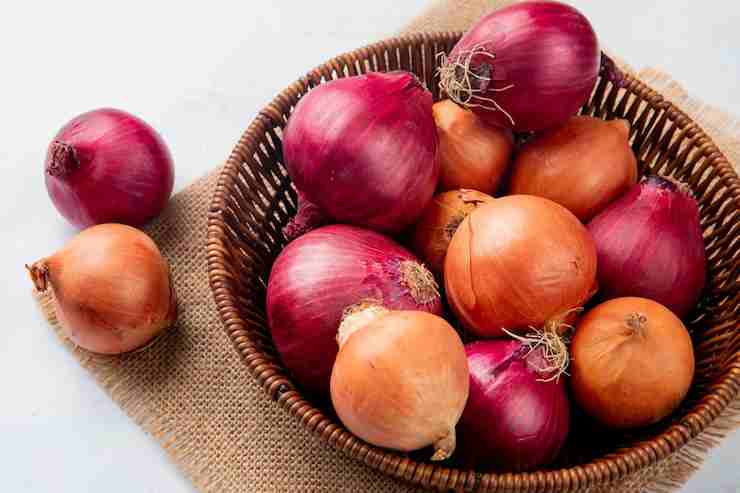 Fresh Red Onion 