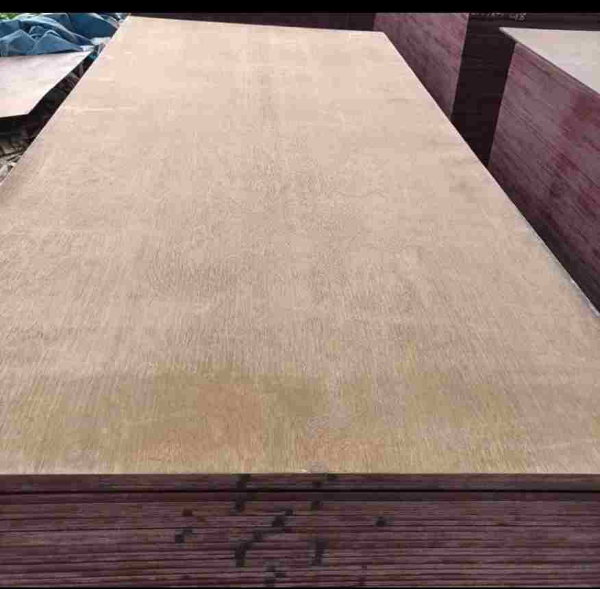 Marine Plywood 