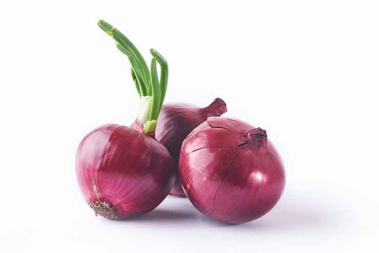 Fresh Red Onion 