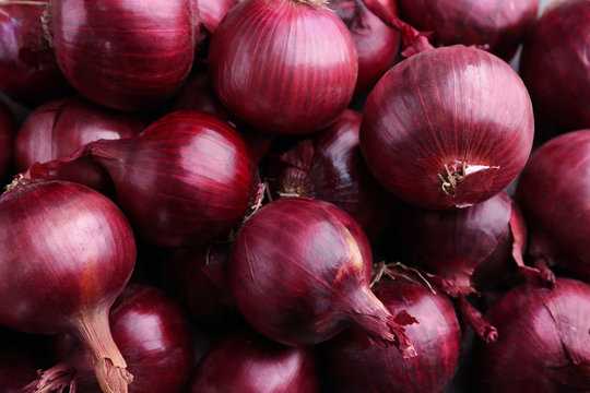 Red Onion