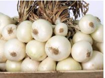 White Onion 