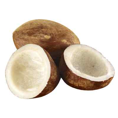 Dry Coconut