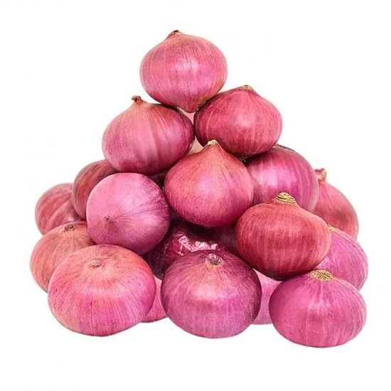 Fresh onion