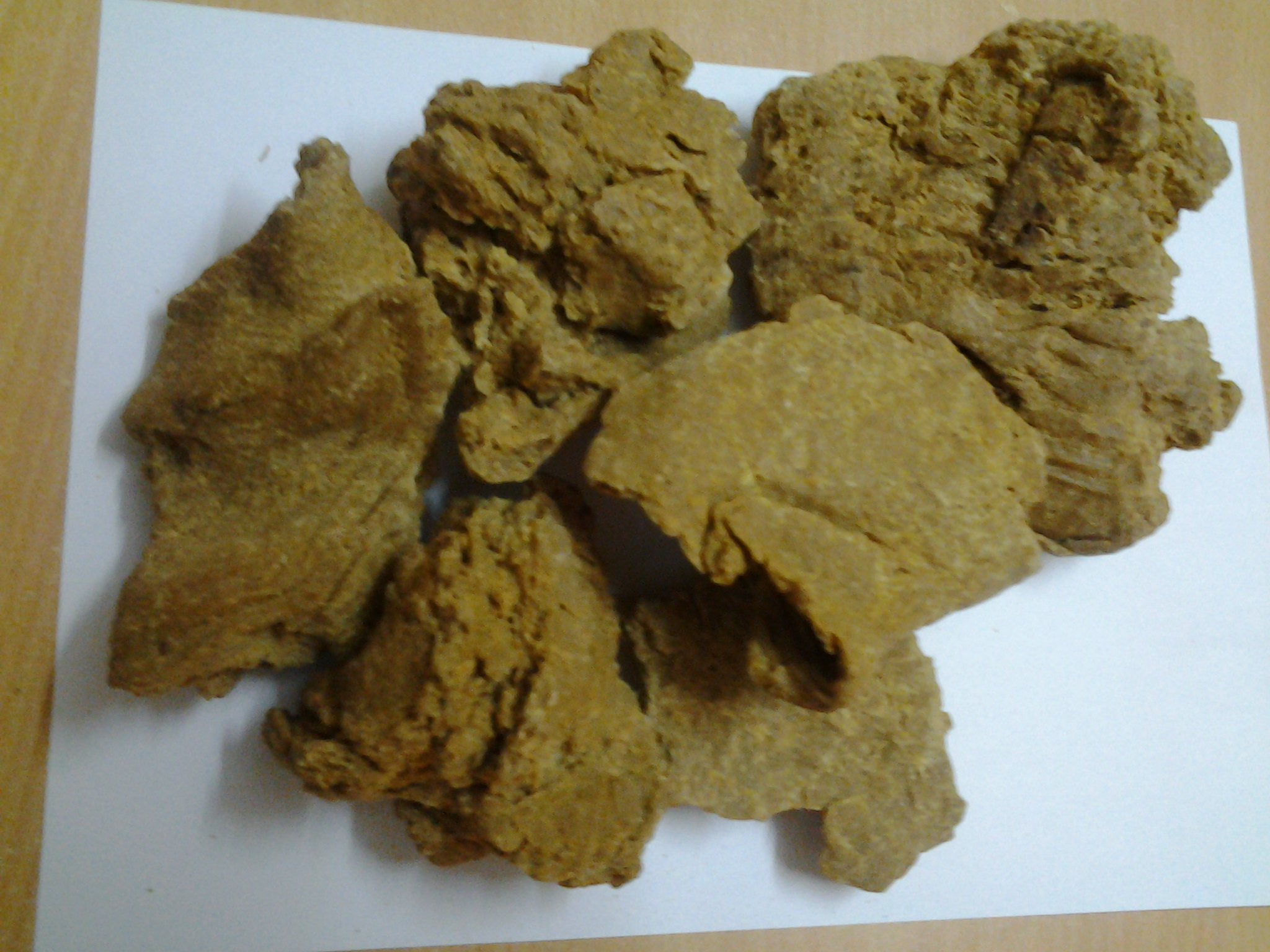 MORINGA seed cake exporters from india