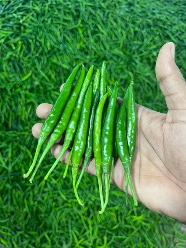 G4 Green Chillies