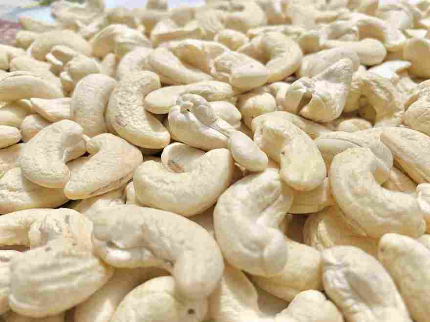 Cashew nut