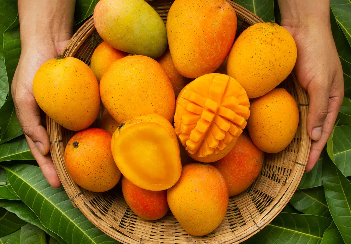 Fresh Mango