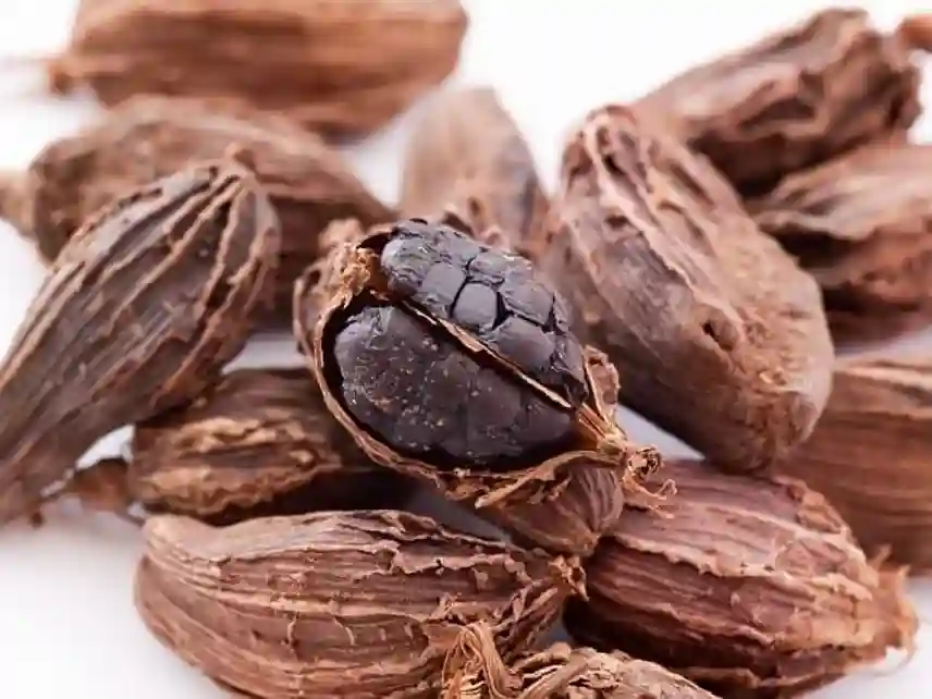 Black Cardamom