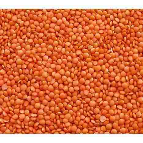 Masoor Dal 
