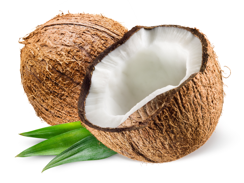 Coconut