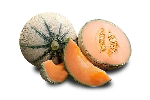 Musk Melon