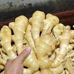 Fresh Ginger