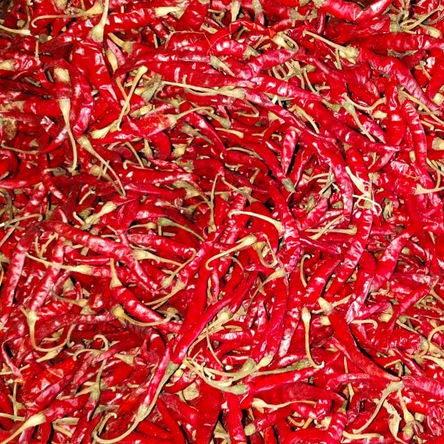Dry Red Chilli