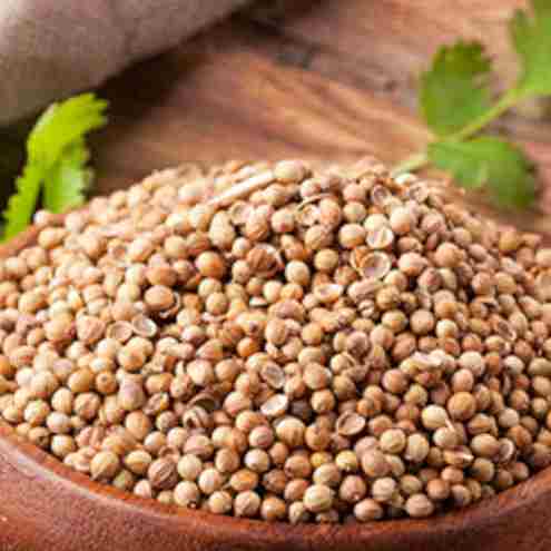 Coriander seed