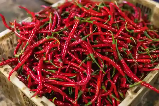  Dry Red chilli 